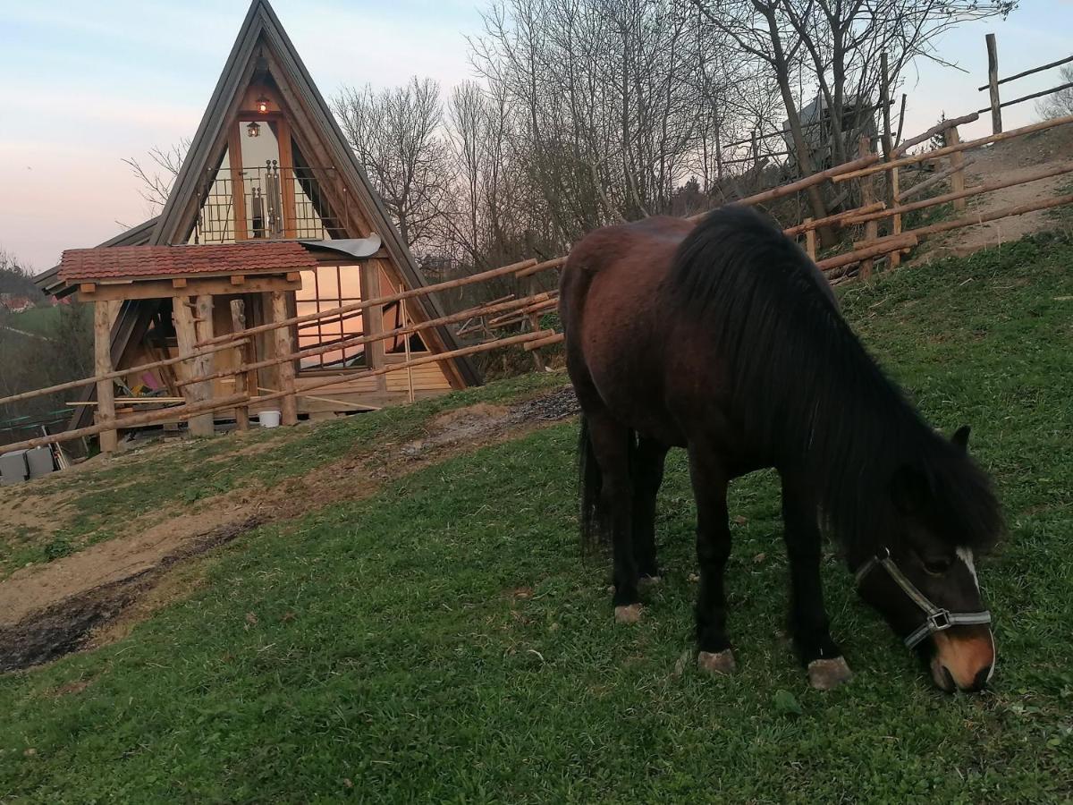 Ranch At Geta Guest House Razgorce ภายนอก รูปภาพ