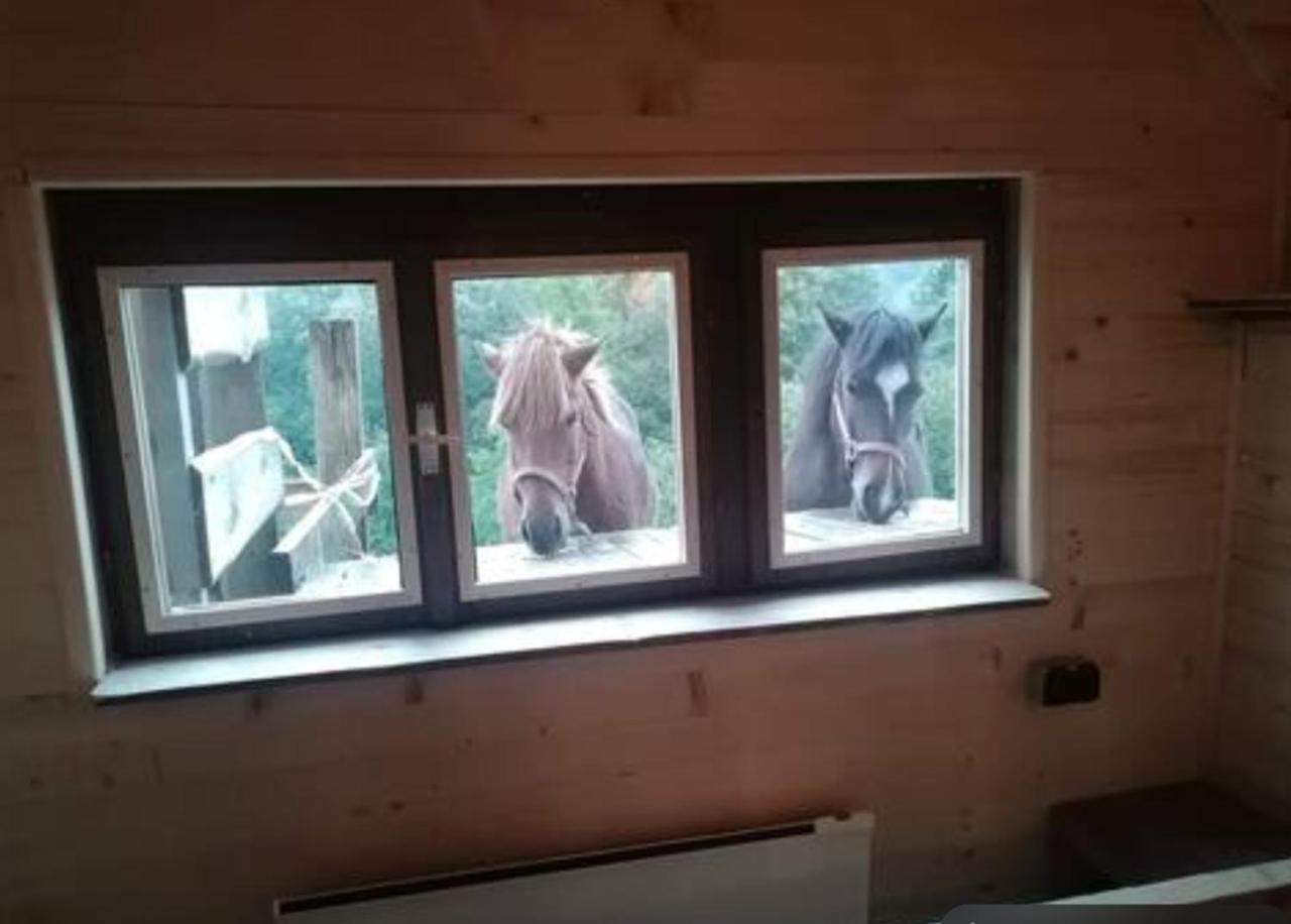 Ranch At Geta Guest House Razgorce ภายนอก รูปภาพ