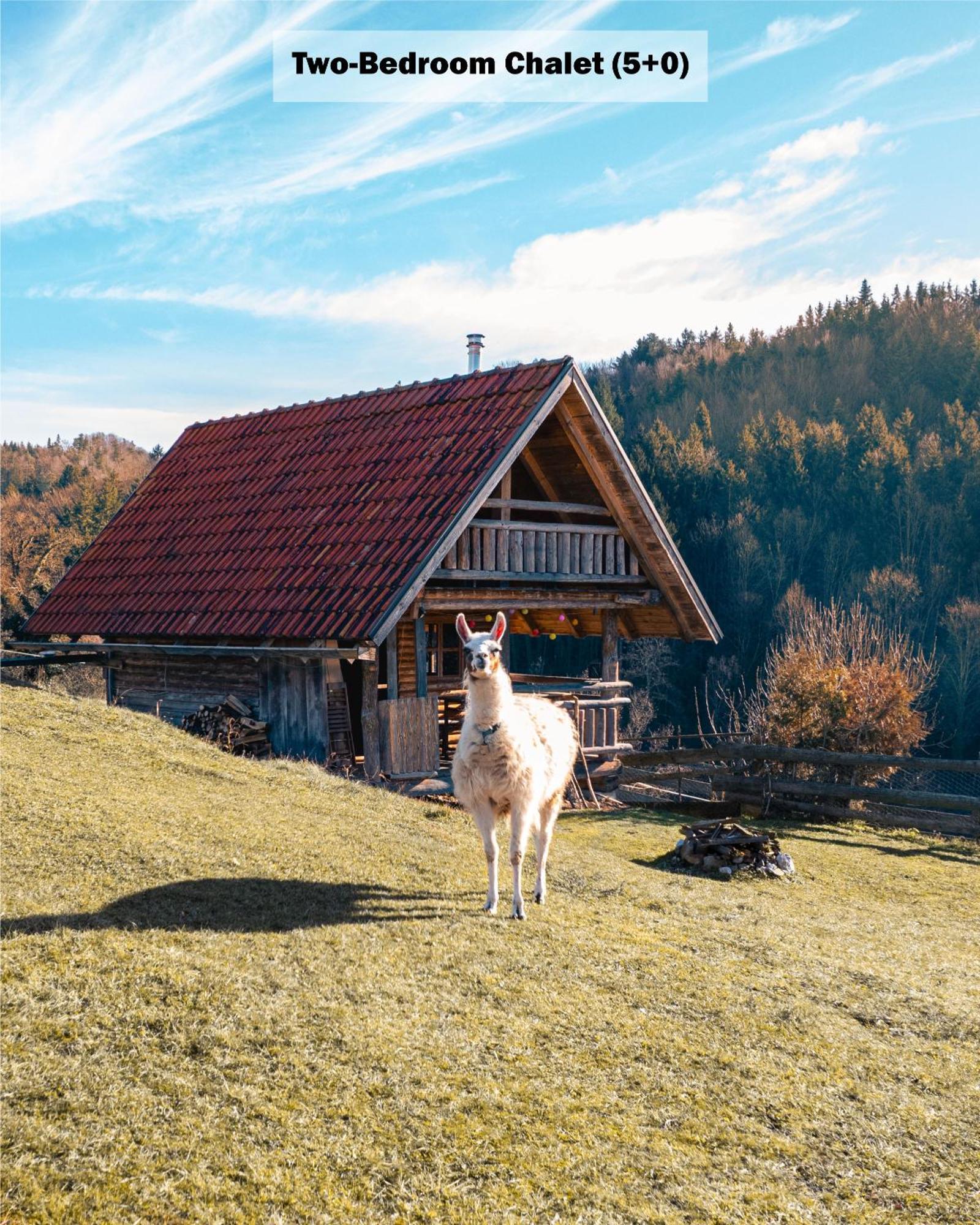 Ranch At Geta Guest House Razgorce ห้อง รูปภาพ